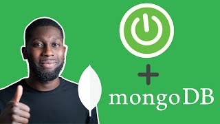 Spring Boot Tutorial  Build a Rest Api with MongoDB [upl. by Esinehc]