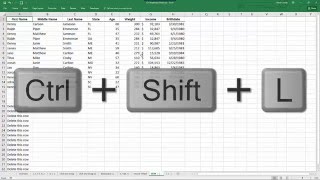 Best Keyboard Shortcuts Ctrl Key in Excel [upl. by Anidam]