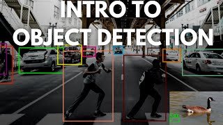 Introduction to Object Detection in Deep Learning [upl. by Ramar]