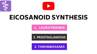 Eicosonoids Synthesis  Leukotrienes Prostaglandins and Thromboxanes [upl. by Siryt591]