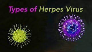 Types of Herpes [upl. by Zere]