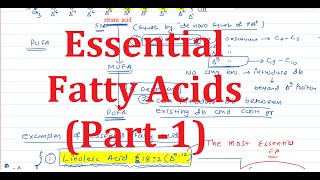 8 Essential Fatty Acids Part1 [upl. by Danyluk524]