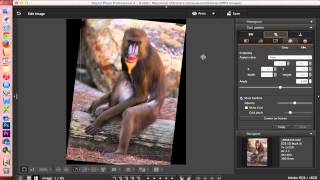 Digital Photo Professional DPP 4 Editing Images [upl. by Nahc]