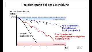 Fraktionierung beim Mammakarzinom  Strahlentherapie Prof Hilke Vorwerk [upl. by Othilie]