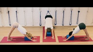 Iyengar Yoga sequence for Emotional Stability [upl. by Hairahcaz668]