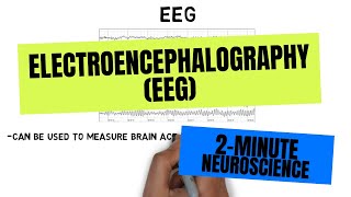 2Minute Neuroscience Electroencephalography EEG [upl. by Groh672]