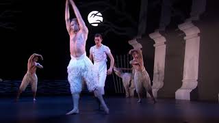 Matthew Bourne΄s Swan Lake 2012  swan dance  long [upl. by Eugenio]