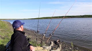 How to Catch MORE Catfish Bank Fishing [upl. by Denoting]