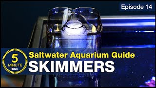 What is a Protein Skimmer How do I get the right one A beginner’s guide to aquarium filtration [upl. by Tekcirc602]