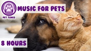 8 HOURS OF PET MUSIC Relaxing Music to Soothe and Comfort Pets and Help Calm and Reduce Anxiety 🐹 [upl. by Airdnax]