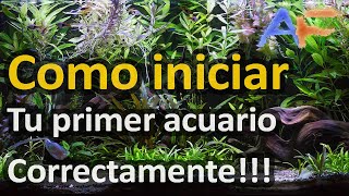 10 CONSEJOS para iniciar TU PRIMER ACUARIO con el pié derecho  Acuarismo Fácil [upl. by Bayer]