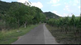 Radfahren und Radtouren in Deutschland  MoselRadweg [upl. by Gabie877]