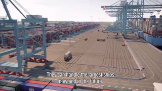 Welcome to APM Terminals Maasvlakte II [upl. by Bethel793]