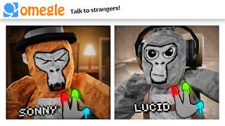 OMEGLE Trolling in Gorilla Tag [upl. by Otrebron687]