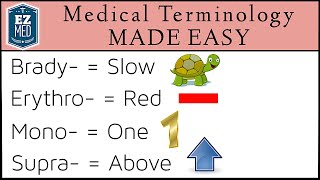 Medical and Nursing Terminology MADE EASY Prefixes Flashcard Tables [upl. by Ierbua241]