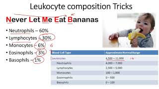 Leukocyte composition tricks to remember [upl. by Simone]