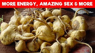 5 Stunning Health Benefits of Maca Root [upl. by Atsirhcal]