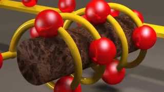 Inductors and Inductance [upl. by Nysa]