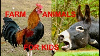 Die besten Tierstimmen für Kinder  FARM ANIMAL SOUNDS FOR KIDS  Sonidos de animales de la granja [upl. by Aehs]