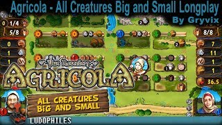 Agricola  All Creatures Big and Small  Longplay  Playthrough  Walkthrough no commentary [upl. by Hillyer477]