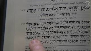 Shema How to Say This Jewish Prayer [upl. by Ydnew]