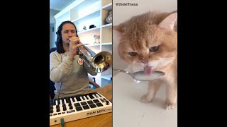 The Kiffness X NumNum Cat Live Looping Balkan Remix [upl. by Akehs]