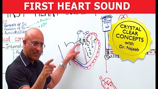 S1 Heart Sounds and Murmurs  First Heart Sound  Dr Najeeb🫀 [upl. by Clementas]