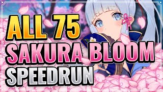 ALL 75 SAKURA BLOOM LOCATIONS DETAILED  EFFICIENT ROUTE Genshin Impact Farming Route Inazuma [upl. by Anawahs]