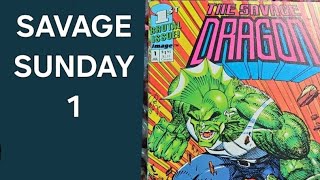 Savage Dragon miniseries 1 [upl. by Garratt303]