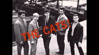 The Cats  Jukebox [upl. by Odilo]