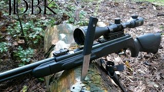 Gamo CFX 177 the perfect entry air rifle [upl. by Etnuahs]