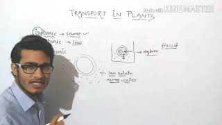 Plasmolysis explained in detail turgid  flaccid and plasmolysed cells [upl. by Sidran]