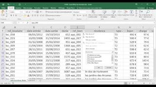 Excel  1 Basique  Cours Filtrer les données [upl. by Halludba797]