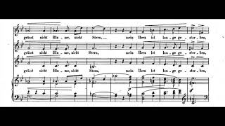 Robert Schumann  Lied Op 29 [upl. by Assenal535]