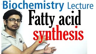 Fatty acid synthesis [upl. by Sturrock611]