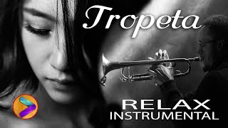 TROMPETA RELAX INSTRUMENTAL🎺🎺 [upl. by Ennaeirrac]