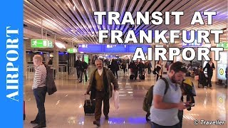 TRANSIT WALK AT FRANKFURT Airport FRA Terminal 1  Connection Flight Transfer Arriving amp Departing [upl. by Yeltneb434]