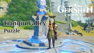 How to Unlock the Secret of Tianqiu Valley [upl. by Maurilia]