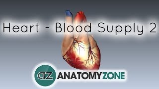 Blood supply to the heart  PART 2  Anatomy Tutorial [upl. by Woermer274]