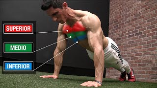 Rutina de FLEXIONES Perfecta 3 NIVELES ¡Pectorales  Pecho [upl. by Darcie]