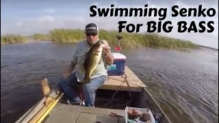 Swimming Senko for BIG BASS [upl. by Atinihc]