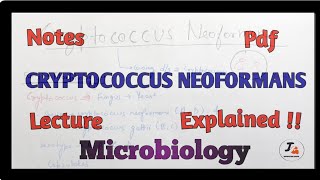 Cryptococcus neoformans Microbiology [upl. by Yanad46]