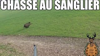 Battue au sanglier  Des Instants Mémorables   Alexis Chasse [upl. by Yleek636]