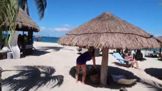 Chankanaab Beach Adventure Park Cozumel Mexico Carnival Breeze [upl. by Warms158]