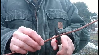 Spring Pruning How To Prune Concord Grape Vines [upl. by Sudaorb]