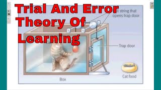 trial and error theory of learning [upl. by Juna]