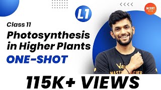 Photosynthesis in Higher Plants ONESHOT  CBSE Biology Class 11  CBSENEET Exam  Amrit Sir [upl. by Letnohc]