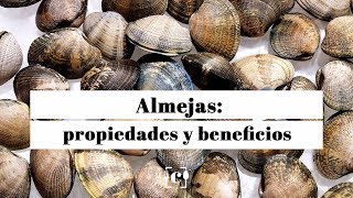 Almejas propiedades beneficios y valor nutricional [upl. by Fairlie760]