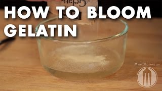 How to Bloom Gelatin  Tutorial Video [upl. by Attiuqihc]