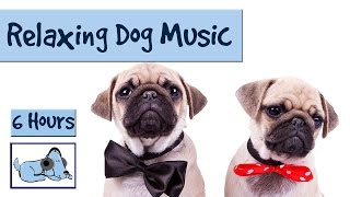 6 HOURS of Relaxing Dog Music For Separation Anxiety and Restless Pups [upl. by Eliathan]